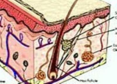 توصیه هایی برای سلامت پوست مردان توصیه هایی برای سلامت پوست مردان